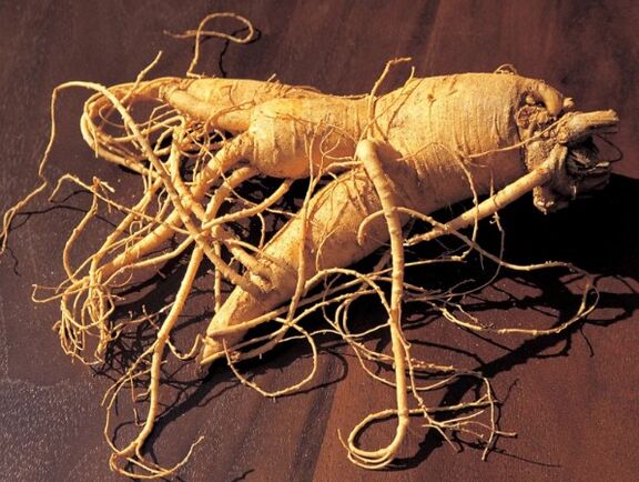 Ginseng juuri