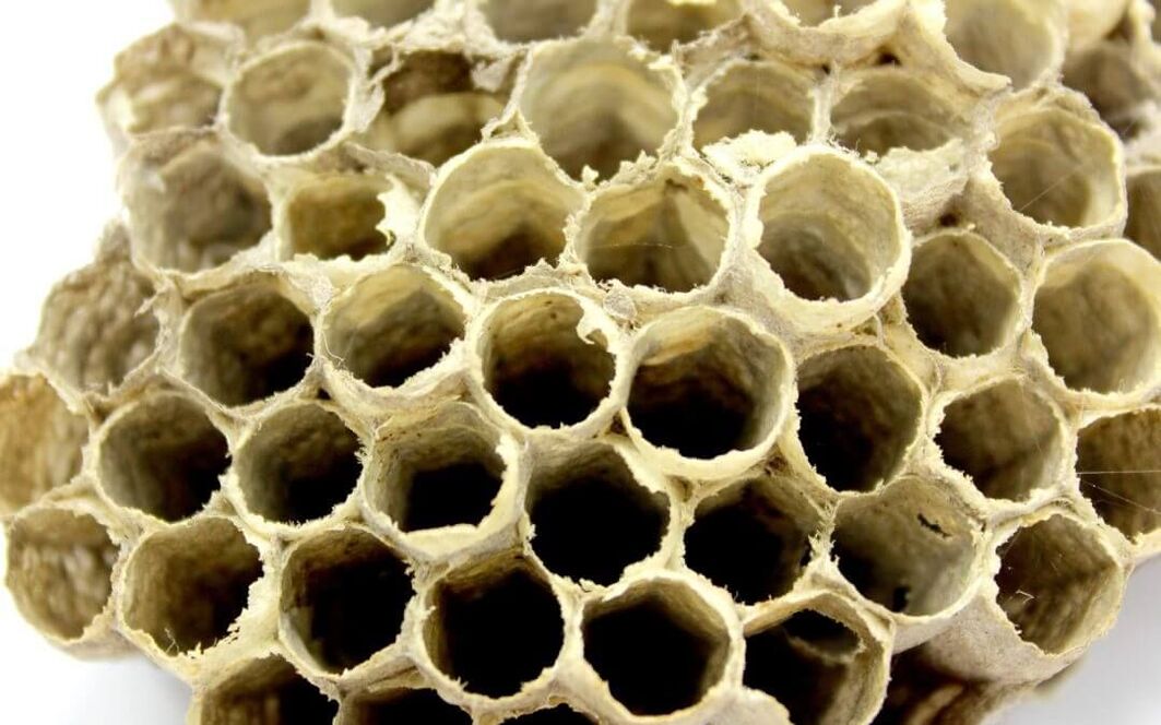 mehiläisliimaa tehon lisäämiseksi